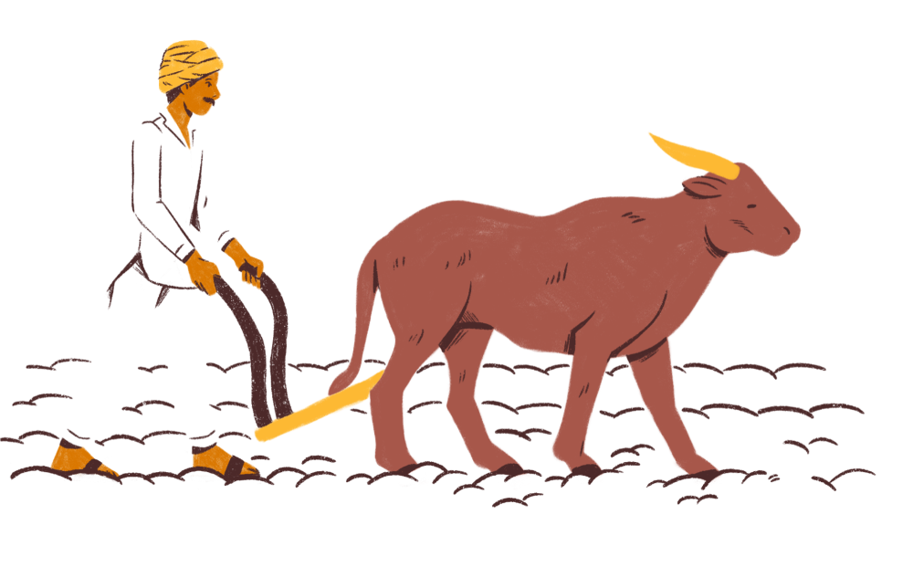 Traditional Instrument