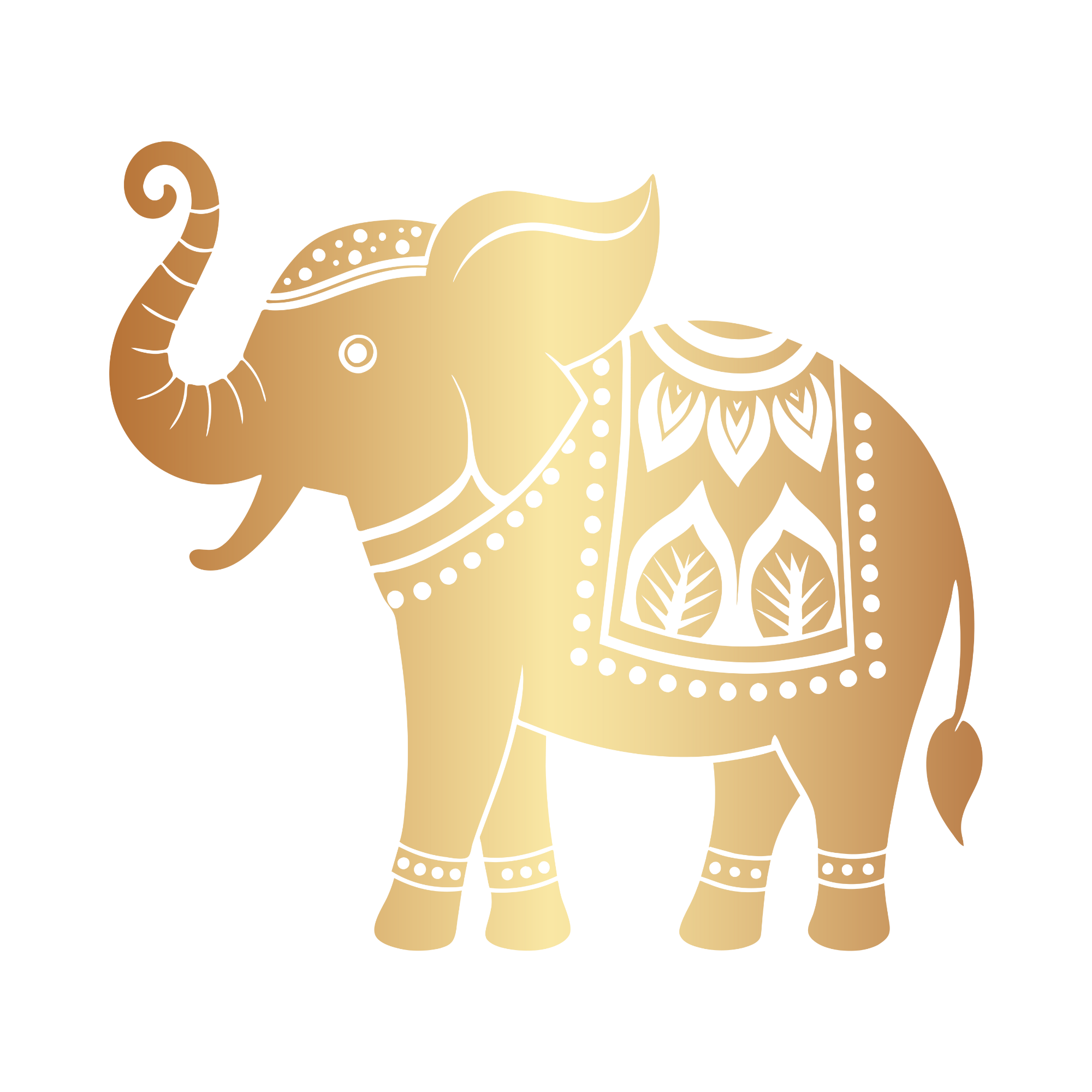 Traditional Instrument